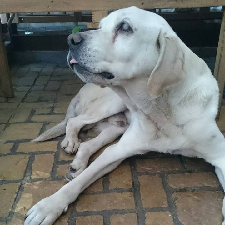 08f869ea 8146 4c04 abcf be0f9f6f38cf