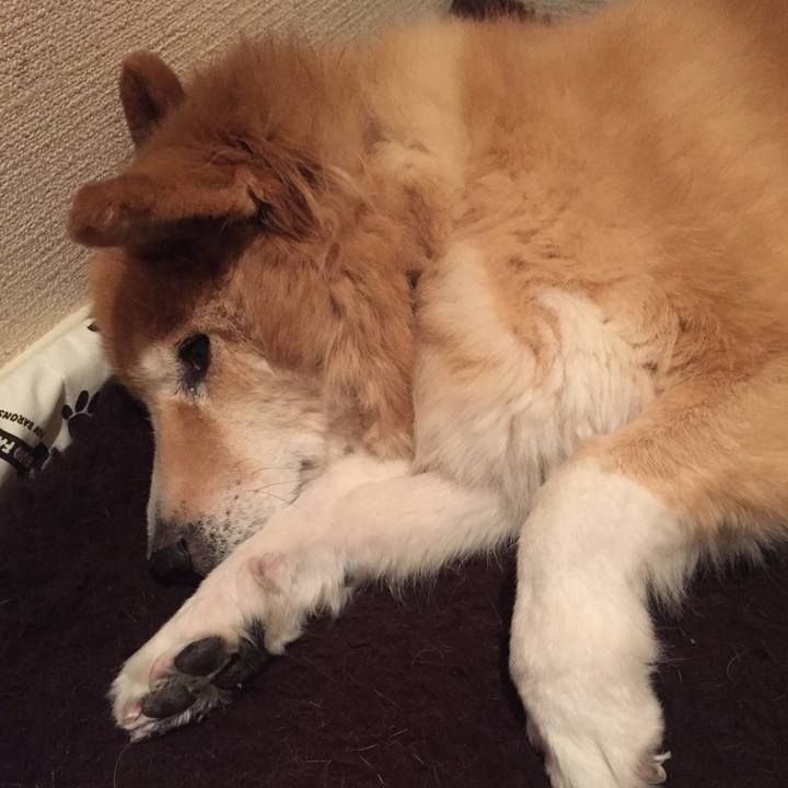 08f94a18 d8da 4706 9d89 862b461043ac