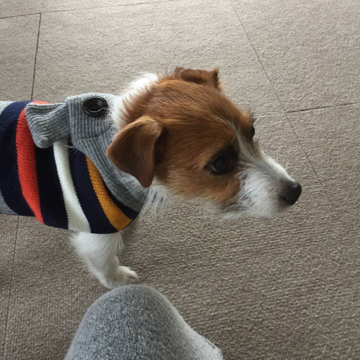 08f99b91 b461 4776 85f6 2f1a5ccd3c18