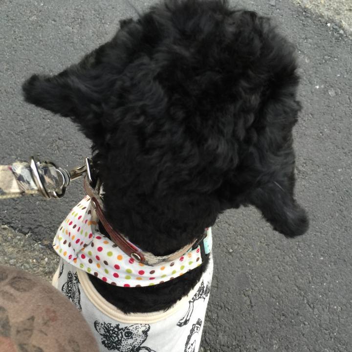 08f9ba9e ef51 44a2 b2e8 fc807b29ad26