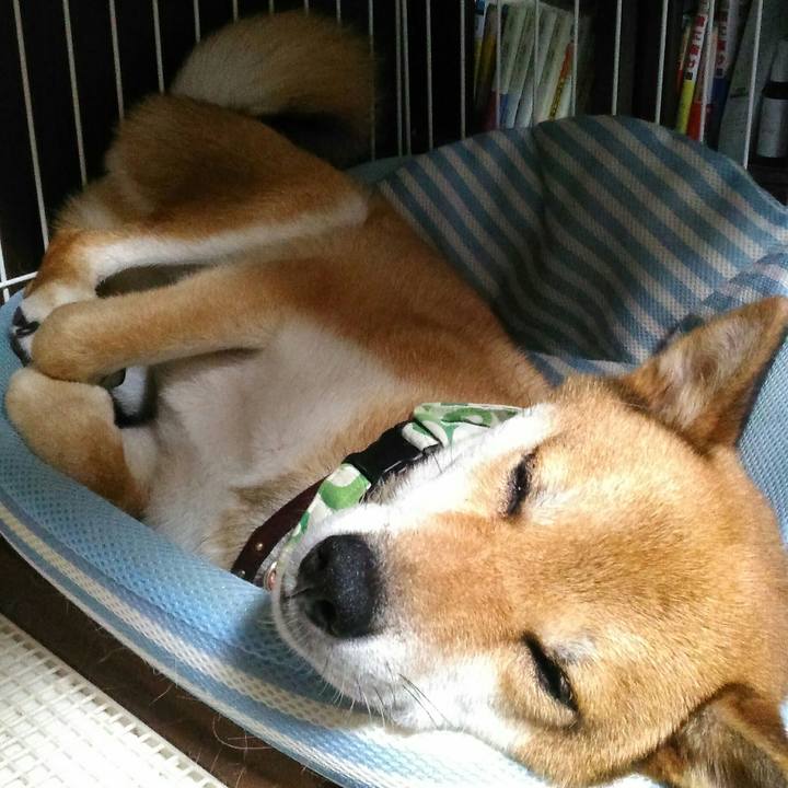 08fad565 357f 46bf 8f22 bb094feab960