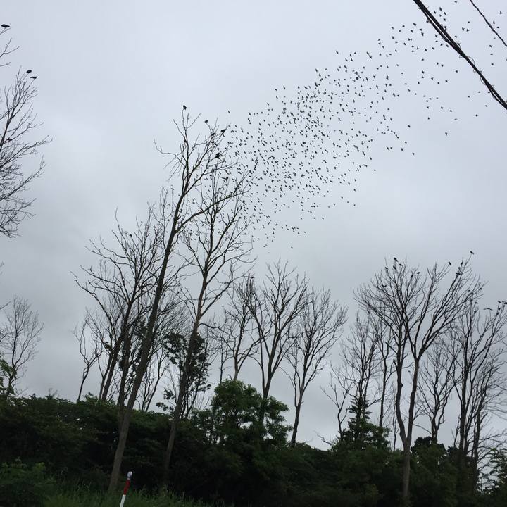 08faf533 b68d 466f 99a9 44618b13e2f5