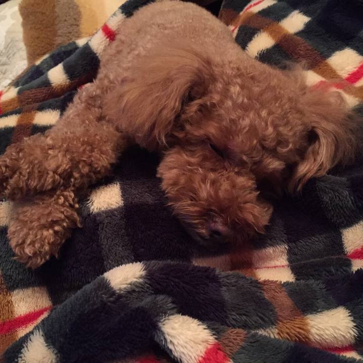 08fb2a69 0102 4c58 9cba 18faf6e7fc72