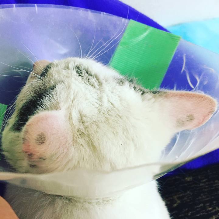 08fc6ed6 ce92 42b2 9f04 3783955dcf1d