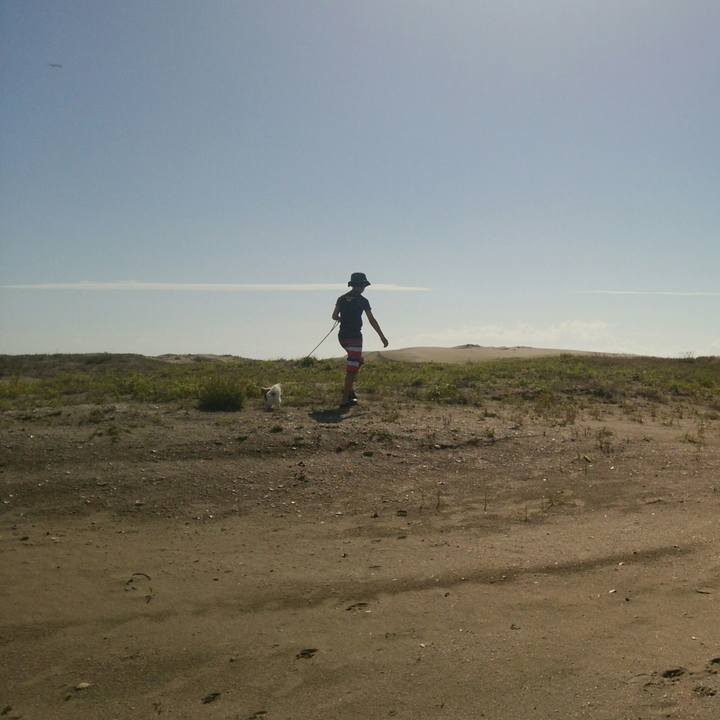 08fc8f81 257b 4234 a35c 61fd4271a8fd