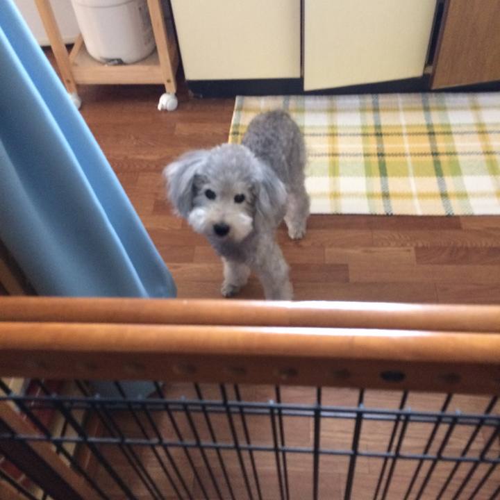 08fc9f1d 68ef 42b6 8e64 0740e40ff08b