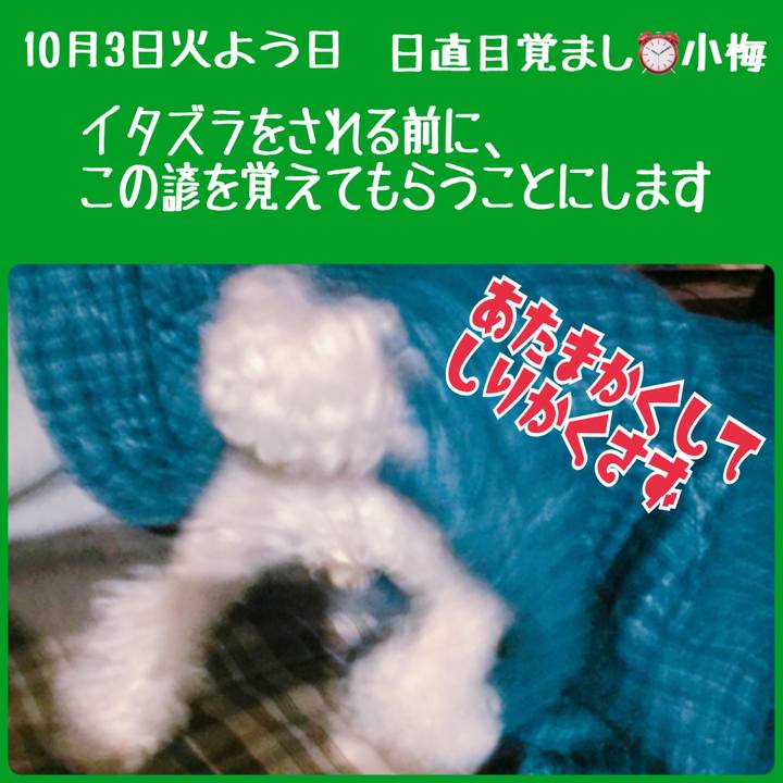 08fcc7d3 d44d 4d8f 8fee ead730691dd5