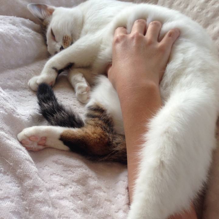 08fd82e4 587e 4c07 9460 98598b471469