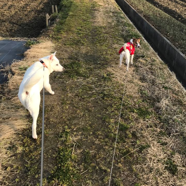 08fdfb25 5848 4f80 b8e7 8de6c586f399