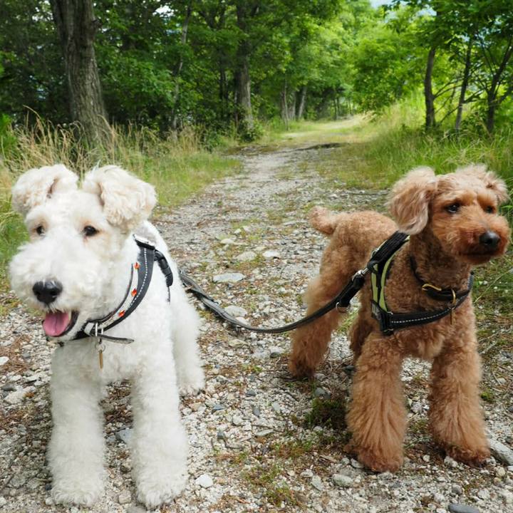 08fdfcb7 c010 46bf 9477 912047a9c540