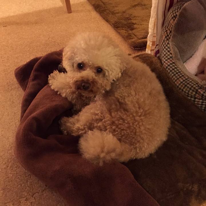 08fec3b0 c45f 42f0 874f 4cc3b080b5f1