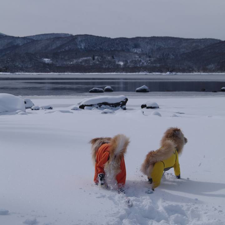 08ff033c 1acf 4729 8642 33c6f4999a86