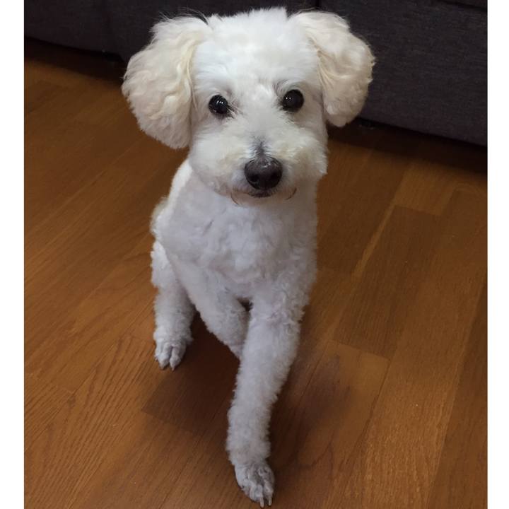 08ff17d6 f608 4ed3 9570 f0f9954ea5f0