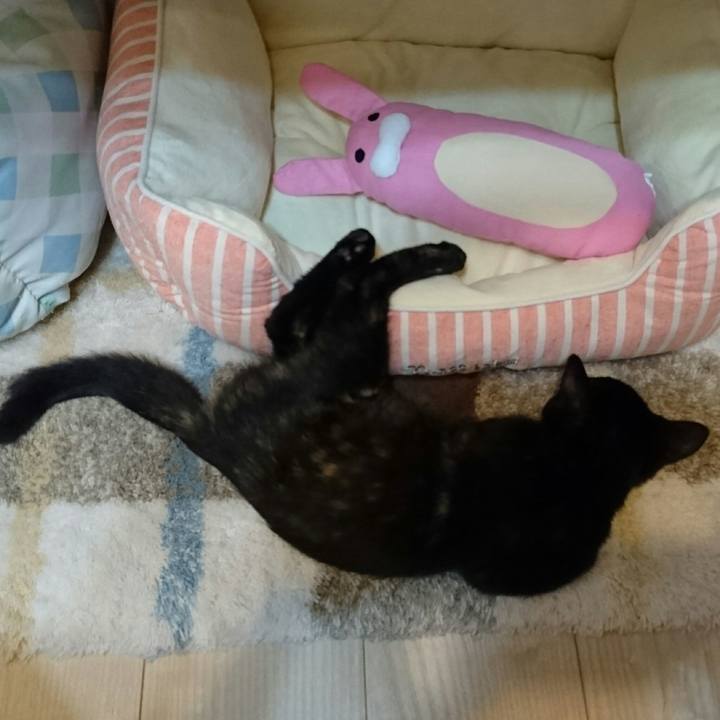 09000628 25ff 4abc 8254 0207084f004a