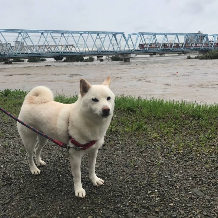 09007940 5ae1 4383 8130 a6c3221ae6c9