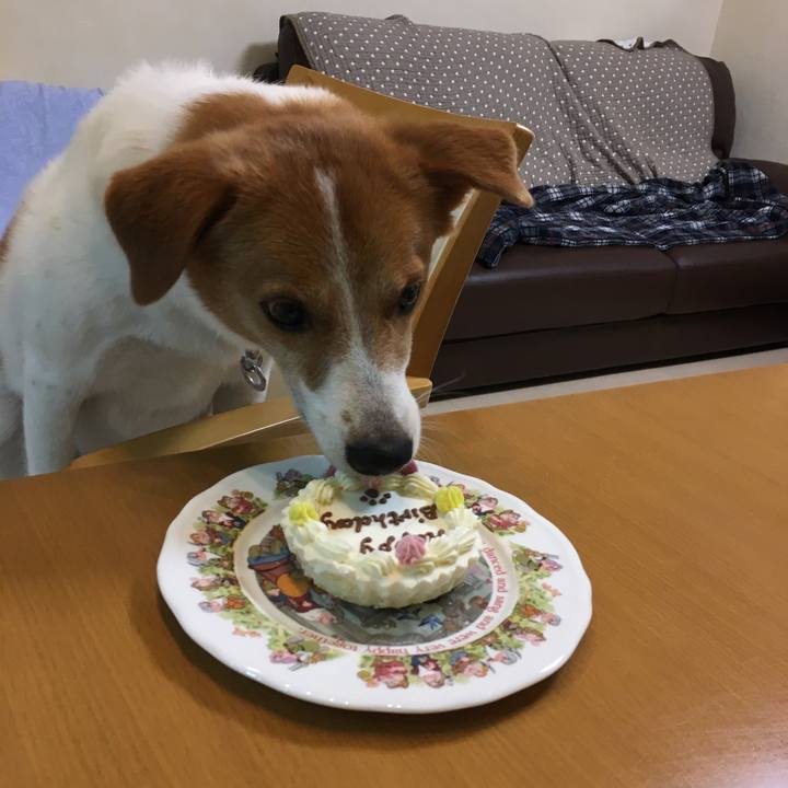 0900858a 3b11 4086 b26c 8dc365bc8dad