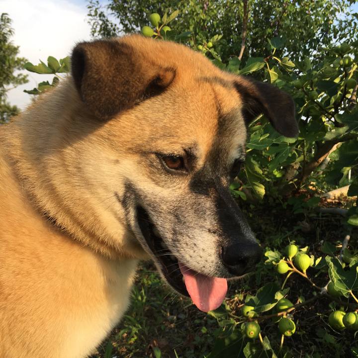 09011efa 2c55 4010 aabb 59dff86a384f