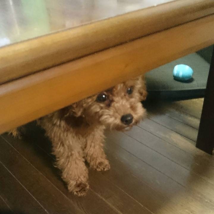 090144c8 8f63 4e20 b0ad d45a8e9837c2