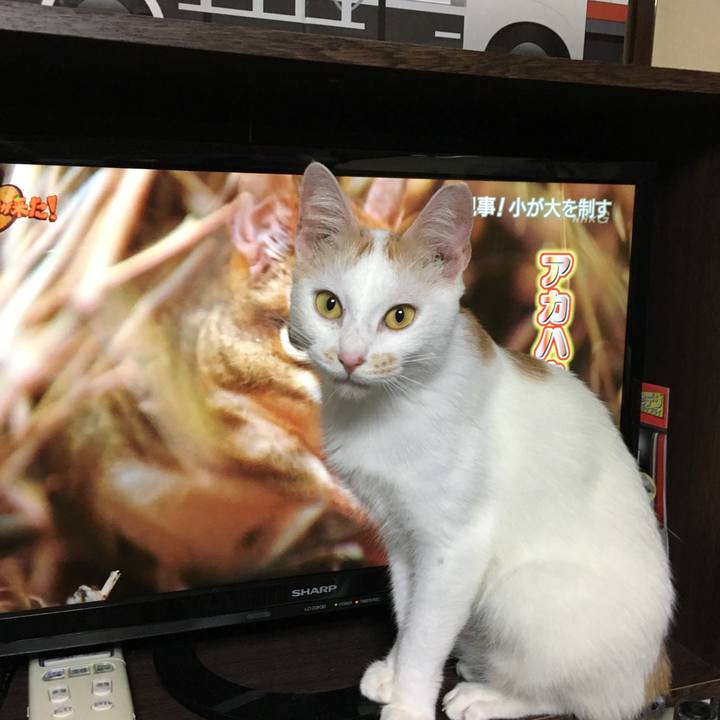 0901715d 2c5b 4732 a258 bb1154135ebf