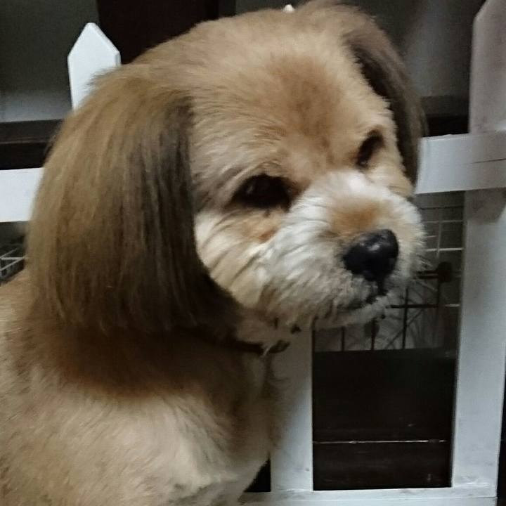 0901fcca 31fc 4717 8b1e 1be1a9370908