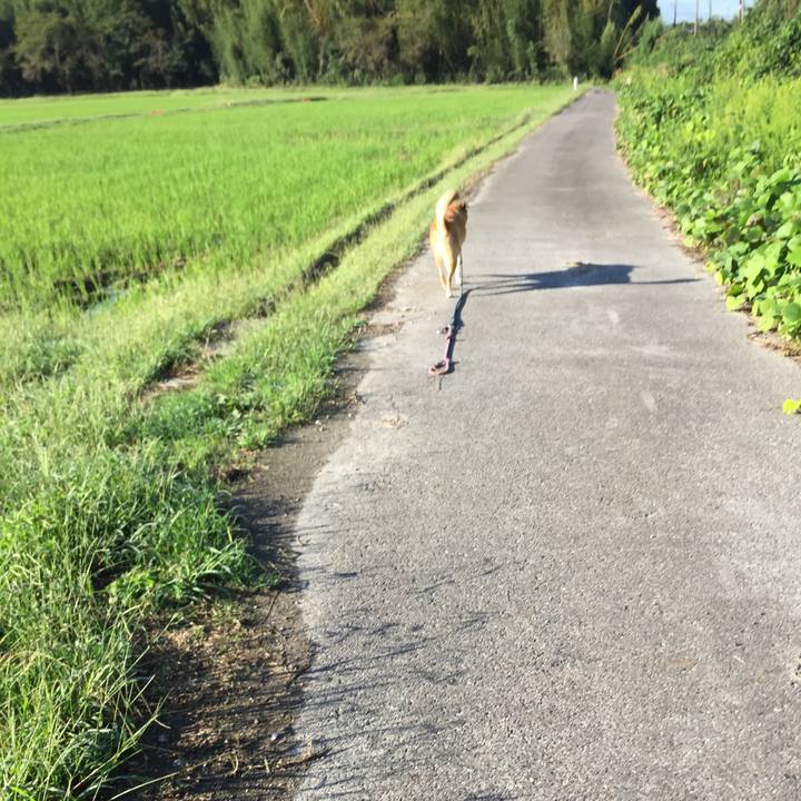 09029119 a187 4a02 a02c 40ca1b15ff17