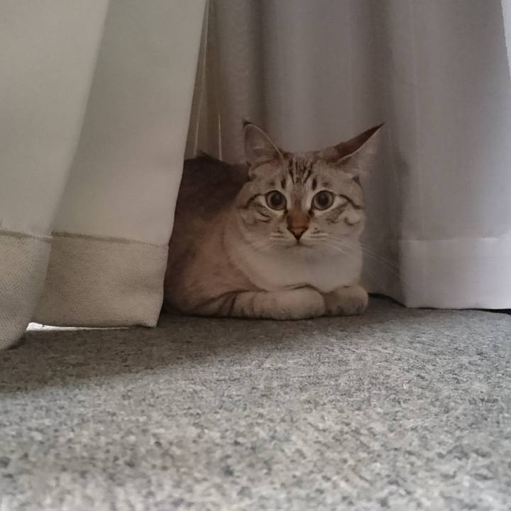 0903561f 0c1b 44f5 b113 2b13bafa9fc1