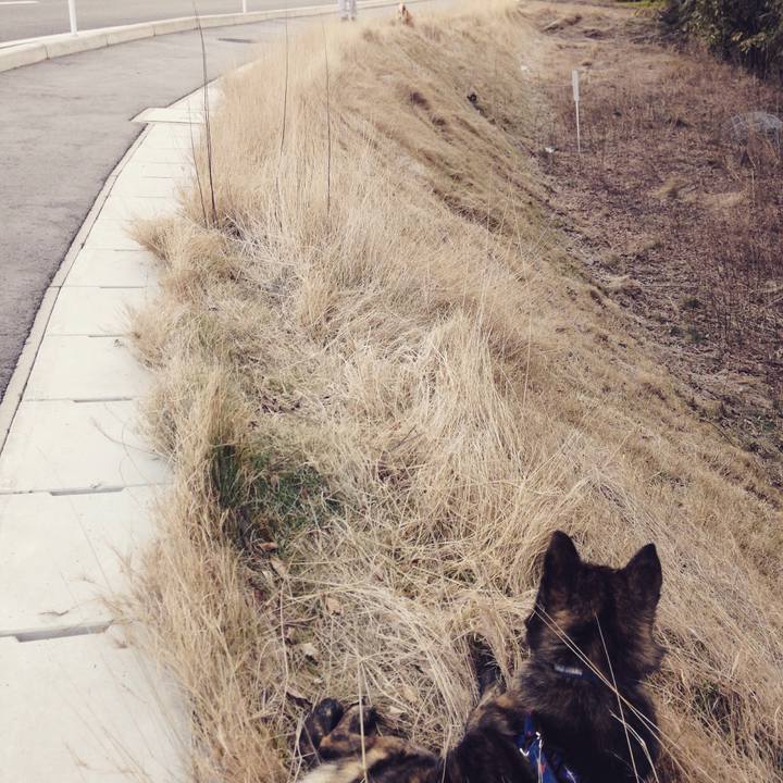 0904253a 7b2a 44a4 a006 2fc6b10a2bca