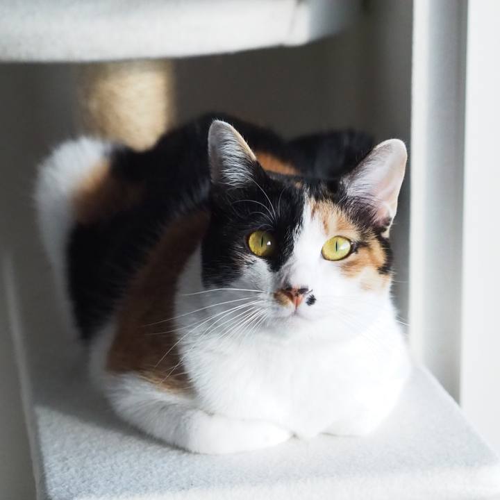 09046794 714c 41ad a552 d4e658d32dc9