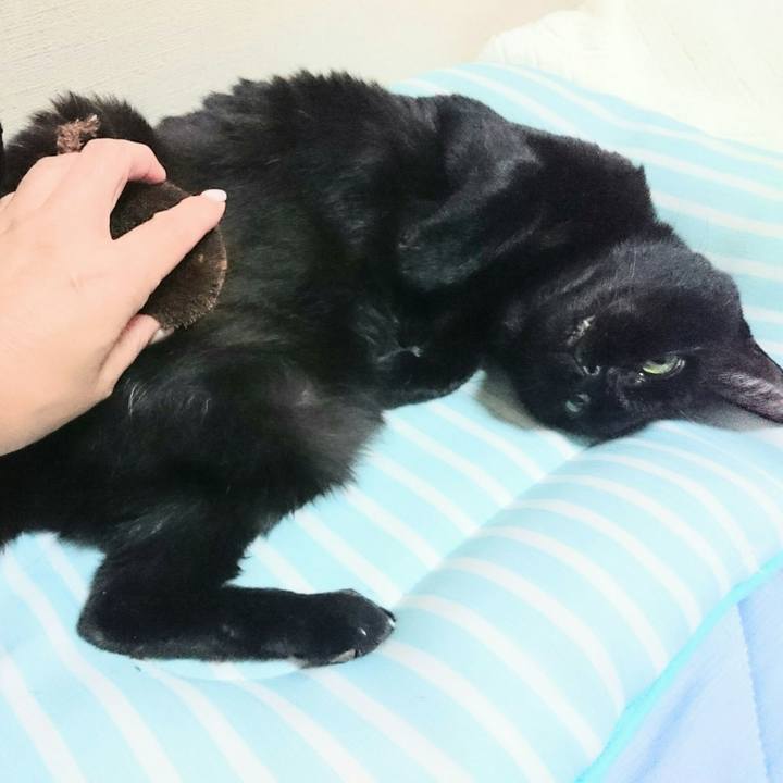 090483ce c5c4 4f99 8476 69c7a021e7c7