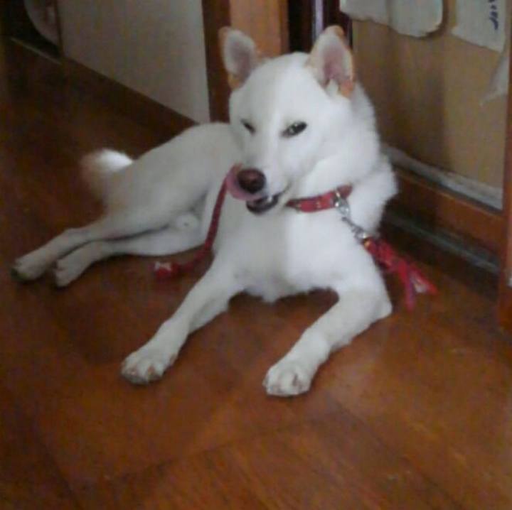 090569e4 92b9 4a7d bc95 1dbb3e34e5cd