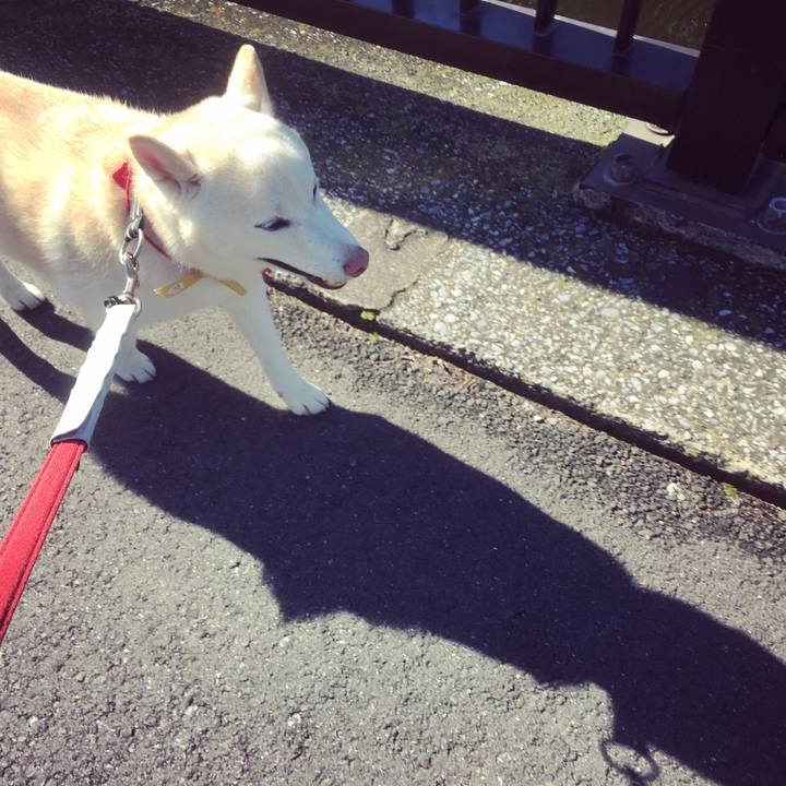 0906394b aad6 49e4 ae90 b56d1296339f