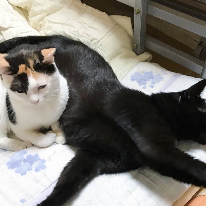 0907c378 e708 42e7 9a76 f3fe68640015