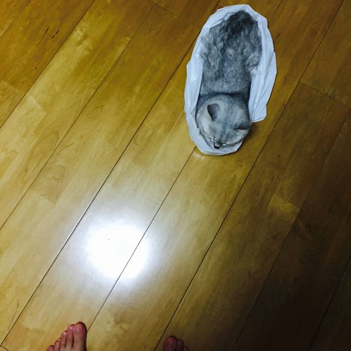 0908caef f94e 42ac 89b5 e6b5a4747836