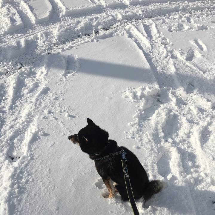 0908ef34 351a 42d3 9d7e dca5bf63388c