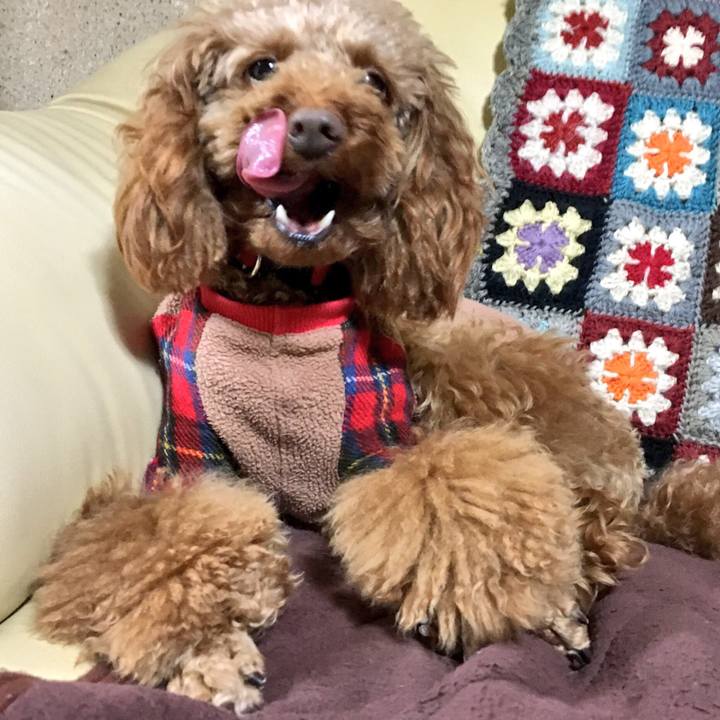 0908fe45 c132 4dd5 9261 f1ba7523b79a