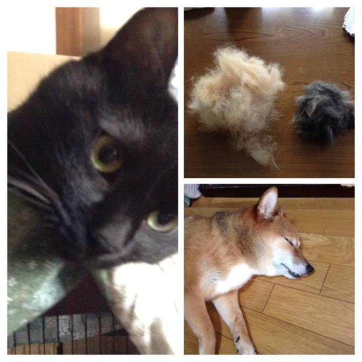 09099db0 4de0 42f0 be5d 14d71da4f2e3