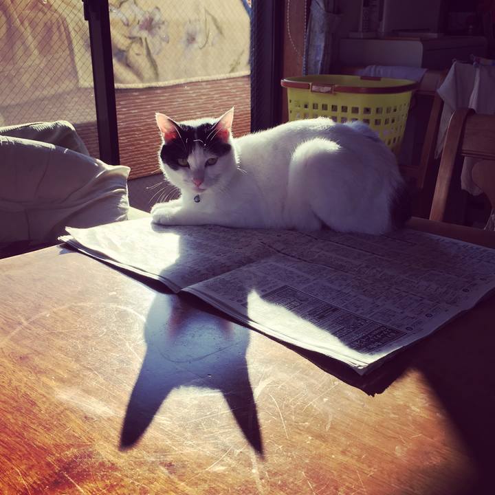 090a0701 0131 45f3 bc8a 470957b49493