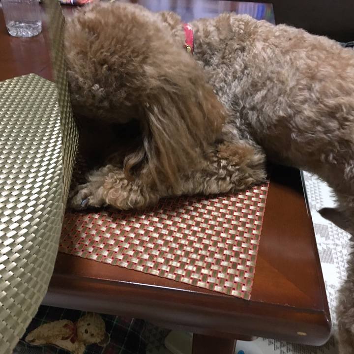 090ac0b6 f11d 4d51 8637 8a72a448fca5