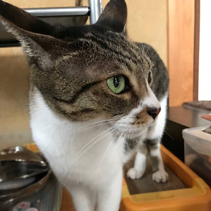 090af7db 75ad 482e b596 ee3729599109