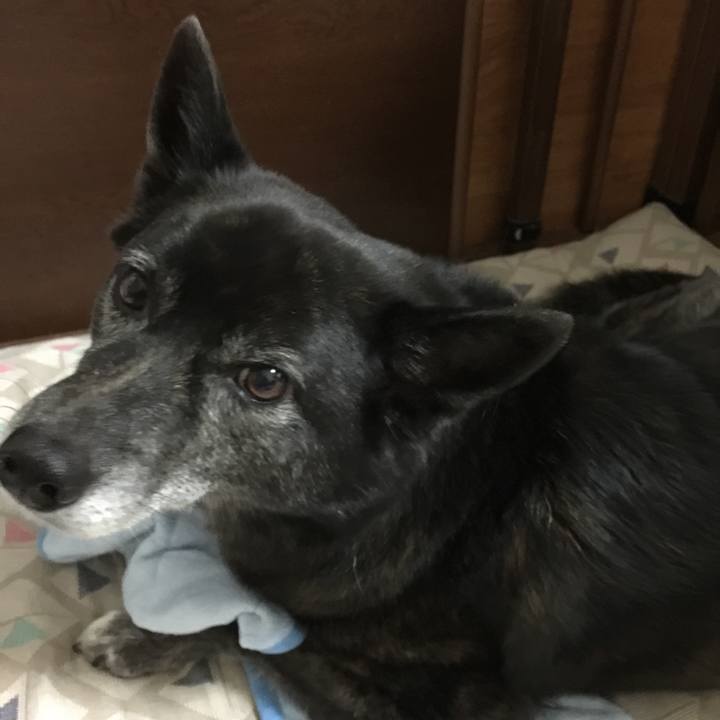 090b11c2 0743 41e2 bd3c 2b3ab0760ff6