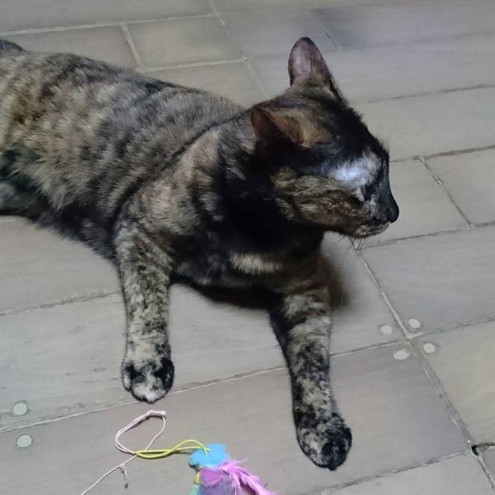 090ba1b3 3bf5 446f b838 c784378877dc