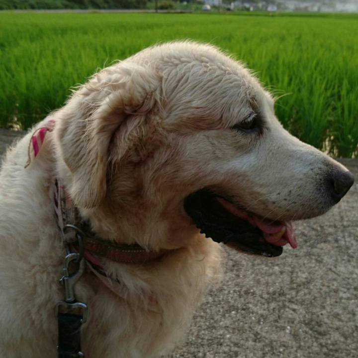 090bbea2 b6c1 474b bea7 a76e24271df3