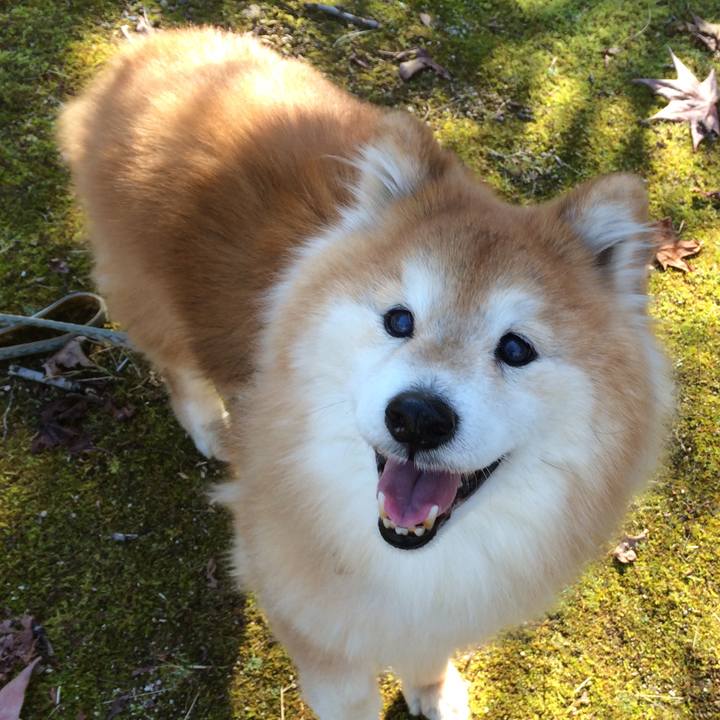 090cc7f8 d383 4512 afa1 657187886b34