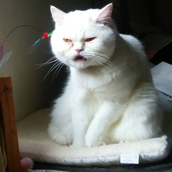 090cd43b a7d2 40d6 8e72 94945fcca90d