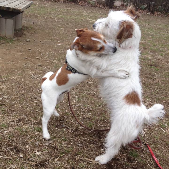 090cef88 8db5 47ad 8cff ff71fc779d4d