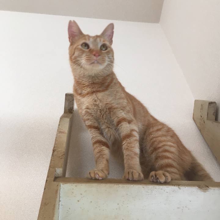 090d00f1 62da 480b 8075 4dfe5cb0e6b0