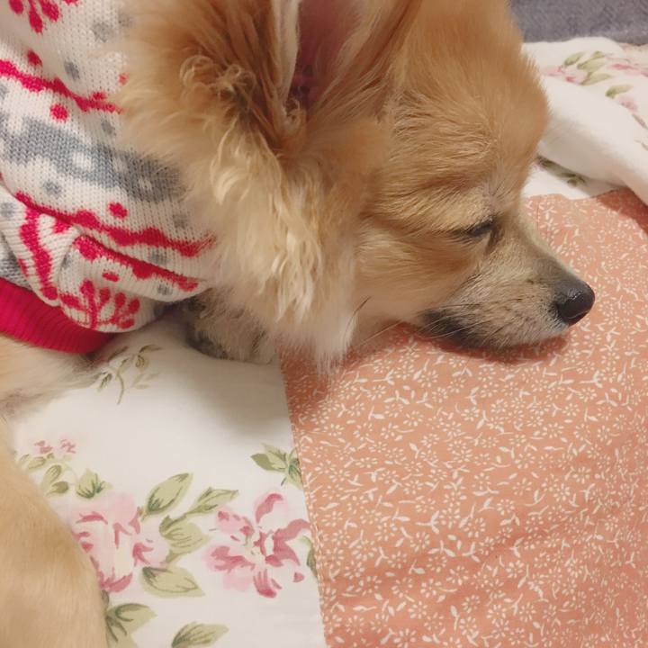 090d1bdd 015a 474e b47c 6b08952d69ef