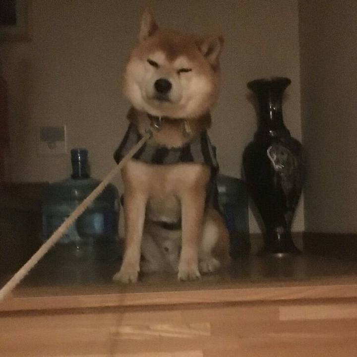 090d7635 f818 4939 8feb cbcd3927a0a1