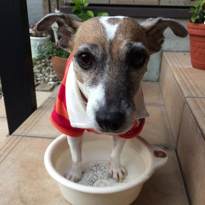 090d9c7c 35a5 4bd8 825d 93dca71bf08c