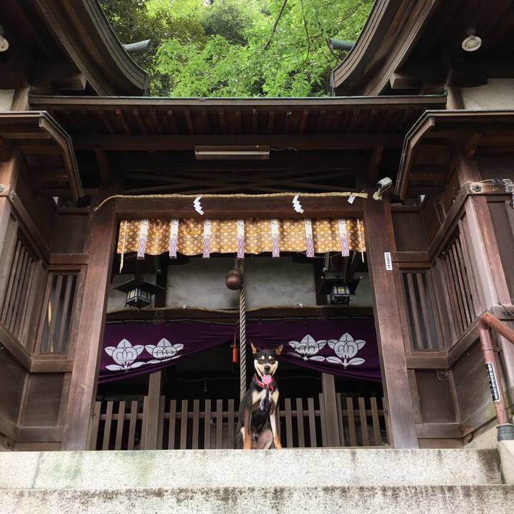 090dbfb6 1661 4ae2 8cb9 3fd9b638f731